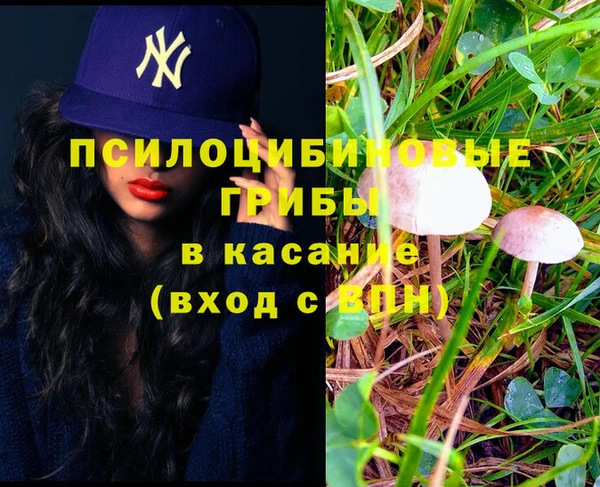дурь Абдулино